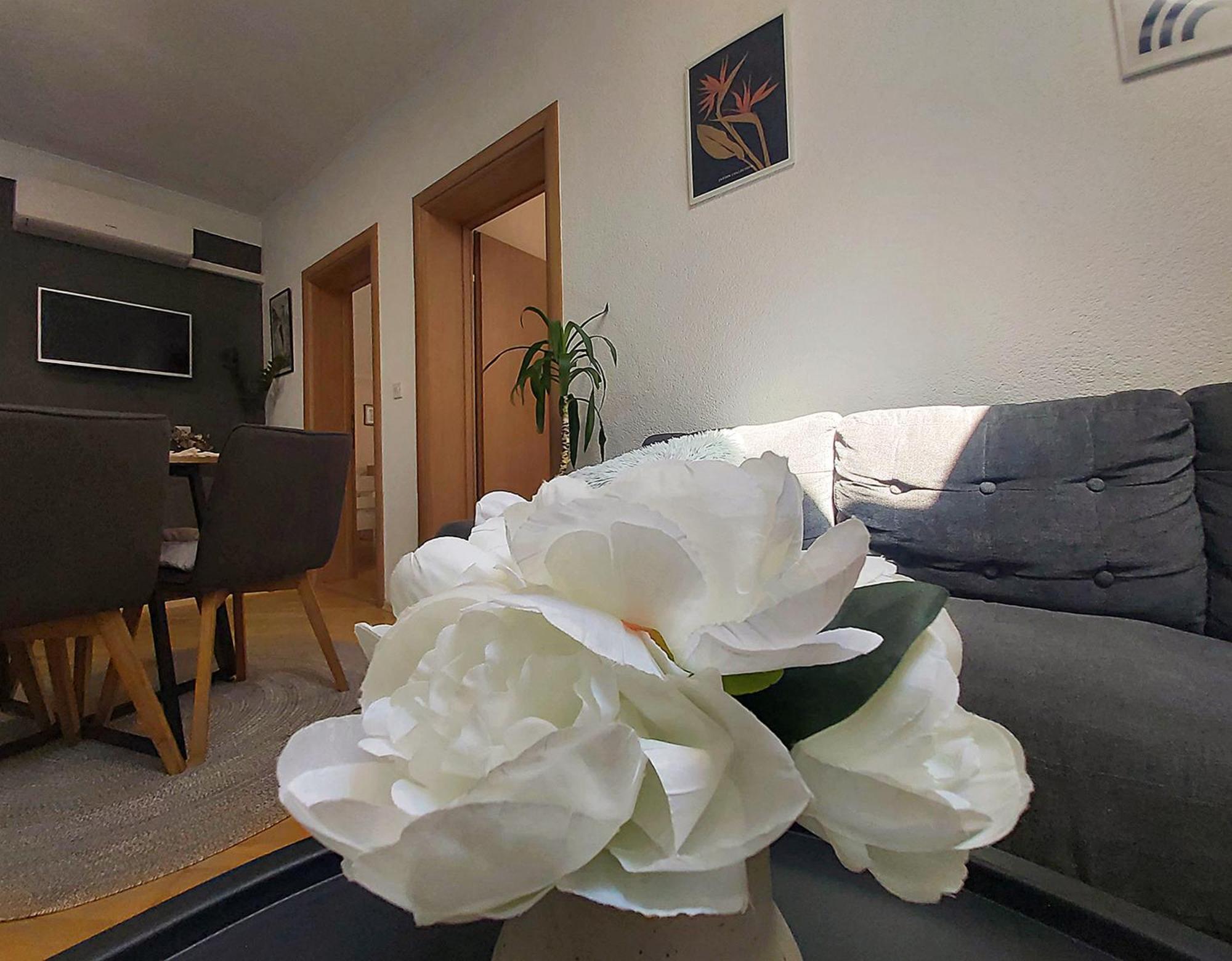 Zara Apartment With Terrace Near Old Town โมสตาร์ ภายนอก รูปภาพ